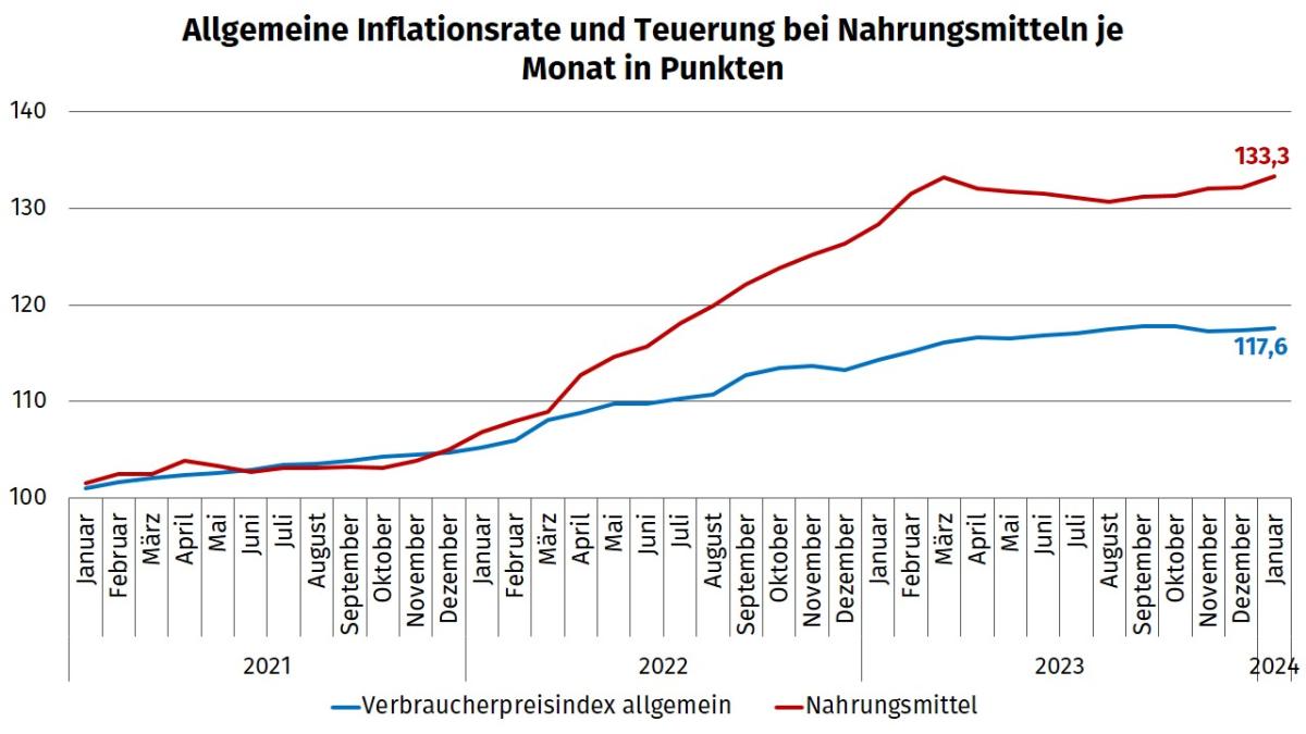 Steigende Lebensmittelpreise: Fakten, Ursachen, Tipps ...