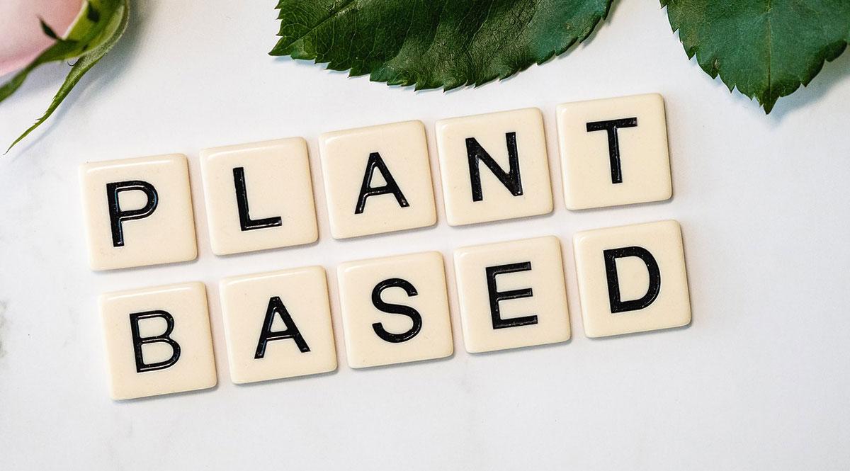 Schriftzug "Plant Based" mit Buchstabensteinen gelefr