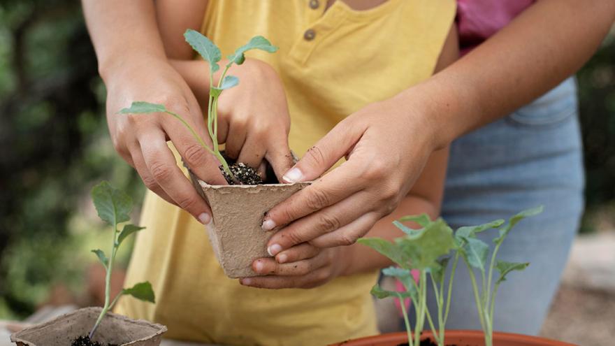 Eine erwachsene Person hilft einem Kind beim Umtopfen einer Jungpflanze 